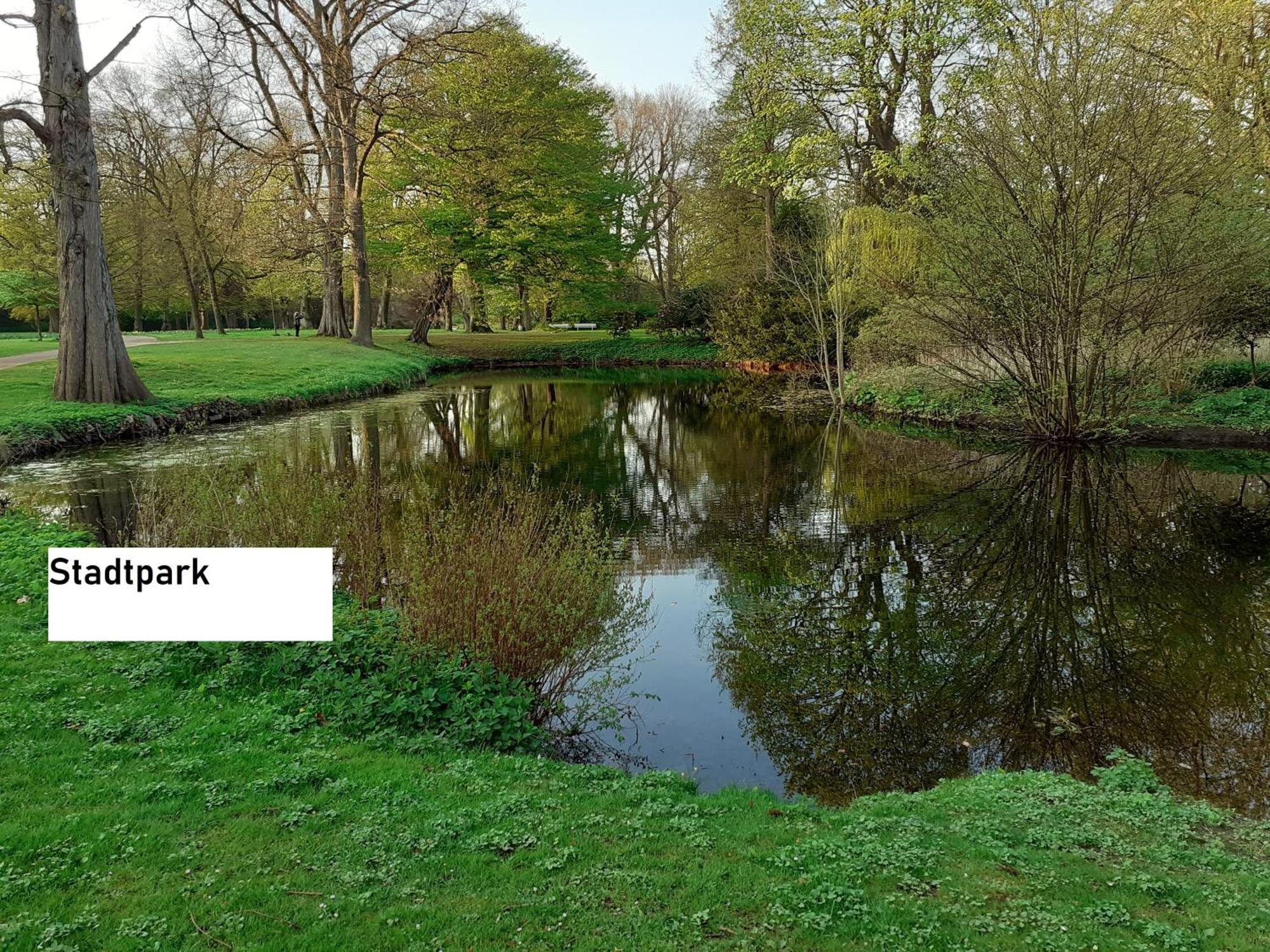 Bine * Lübeck